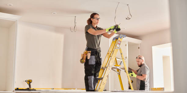 Best Electric Panel Repair  in Montour Falls, NY
